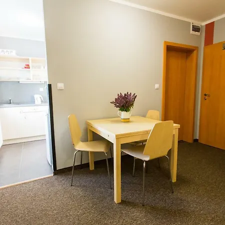 Ferienhaus Iva - Klinovec Апарт-отель *